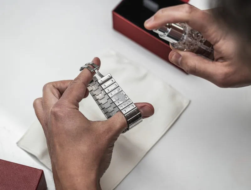 Watch care accessories